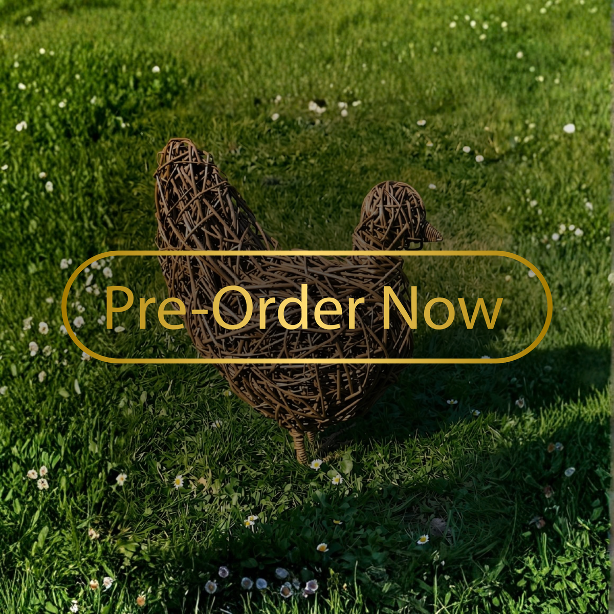 Willow Chicken Making Kit